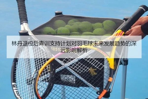 林丹退役后青训支持计划对羽毛球未来发展趋势的深远影响解析 - DRAGONTIGER